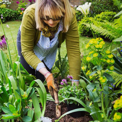 Gartenpflege und Gartenverschönerung