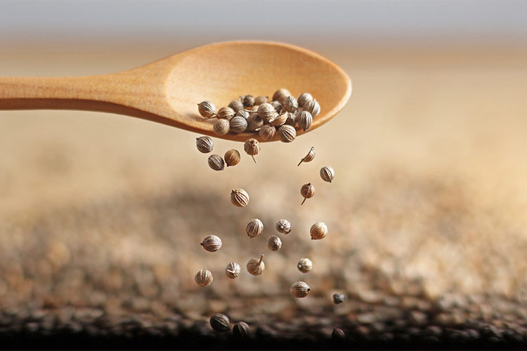 Pegels Landmarkt Saatgut Beitragsbild Saatgut für den Garten