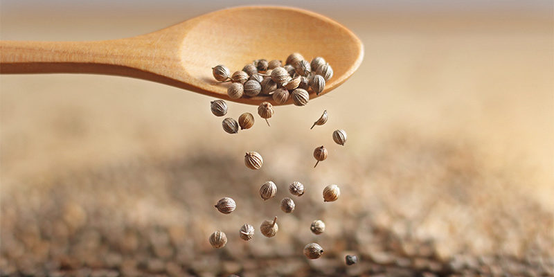 Saatgut für den Garten