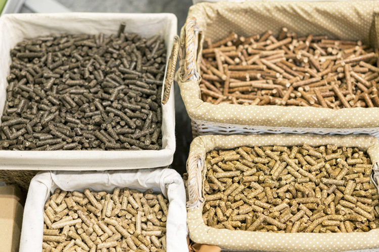 Ergänzungsfuttermittel für Pferde