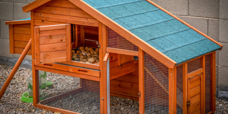 Hühnerställe in vielen Grössen