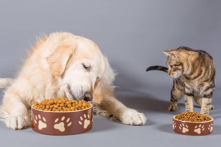 Futter und Kauartikel bei Ihr Pegels Landmarkt Futter- und Kauartikel für Hunde und Katzen