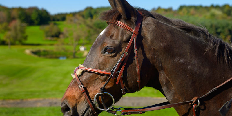 Tensen bei Ihr Pegels LandMarkt