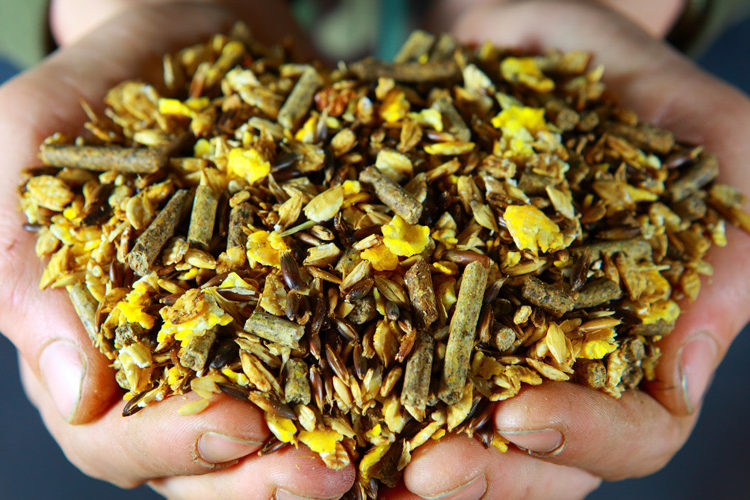 Pferdekraftfutter Kraftfutter für Pferde bei Ihr Pegels Landmarkt