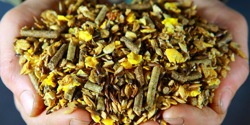 Kraftfutter für Pferde bei Ihr Pegels Landmarkt