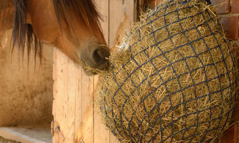 Raufutter bei Ihr Pegels Landmarkt