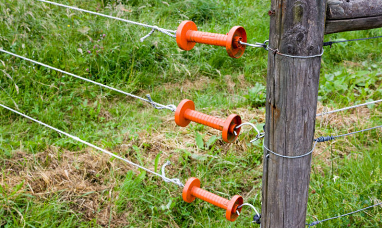 Weidezauntechnik bei Ihr Pegels Landmarkt