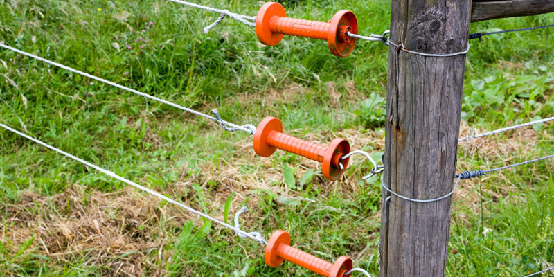 Weidezauntechnik bei Ihr Pegels Landmarkt