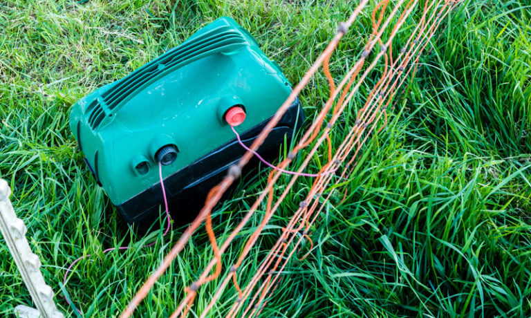 Technik für den Weidenzaun