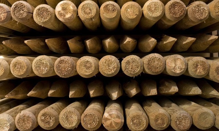 Weidetechnik bei Ihr Pegels Landmarkt